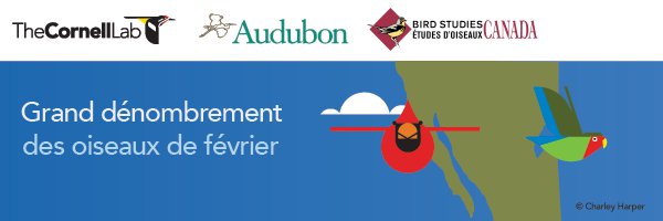 gbbc banner