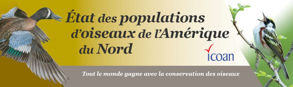 SONAB bannerfr