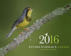 Annual Report