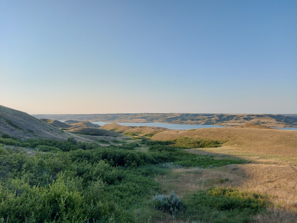A grassland scene with water in the distance.