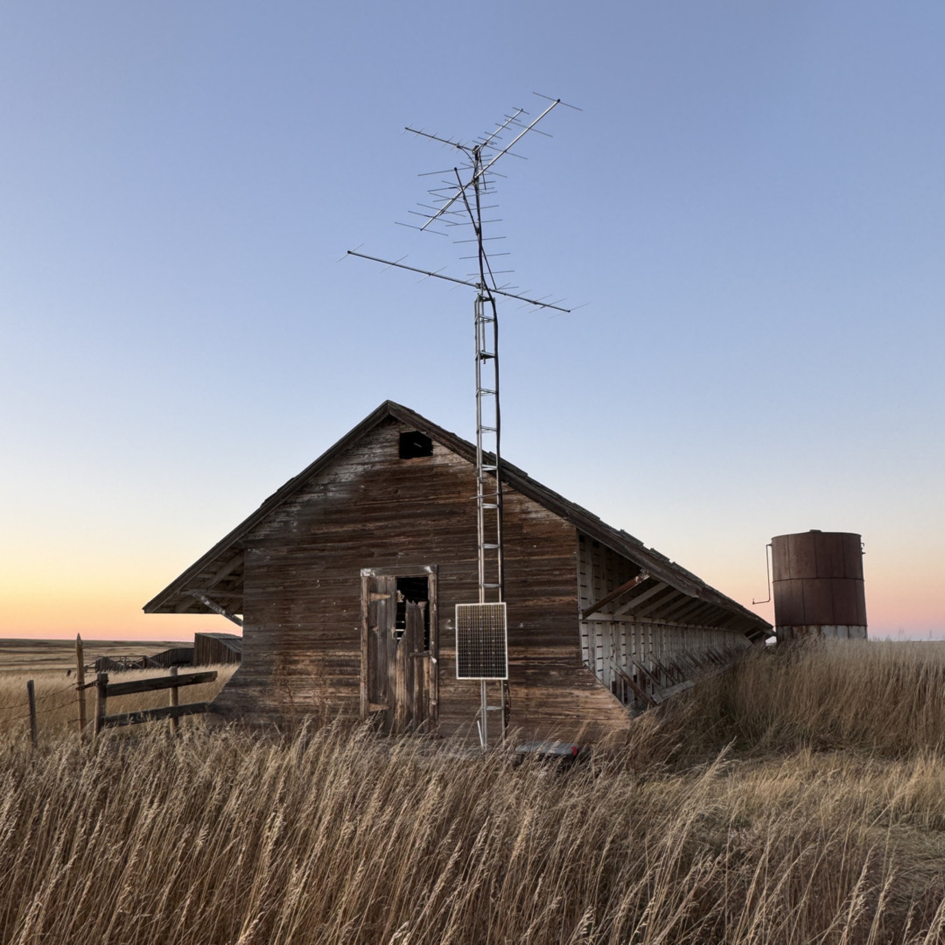 A Motus tower at McIntyre Ranch.