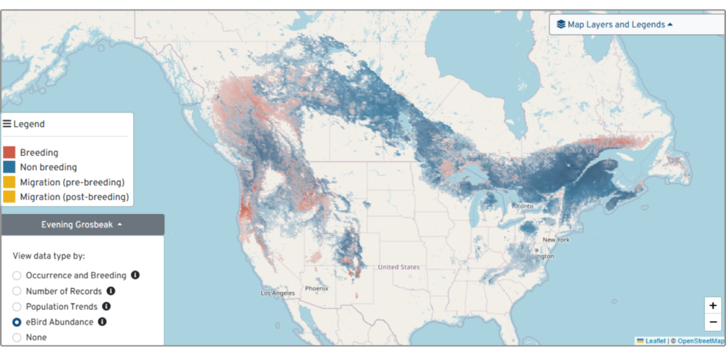 Range map of the Evening Grosbeak based on eBird abundance