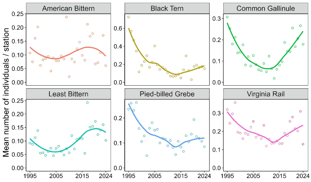 Six line graphs showing an index of abundance for each of six wetland bird species of conservation concern from 1995 to 2024. In each graph, you see a downward trend from 1995 to about mid-way through the period, and then an increasing trend thereafter.