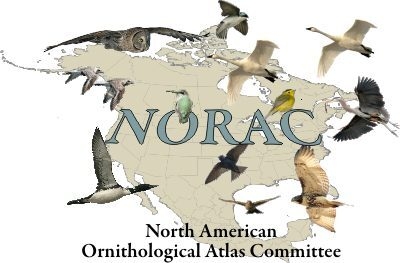 Logo for the North American Ornithological Atlas Committee