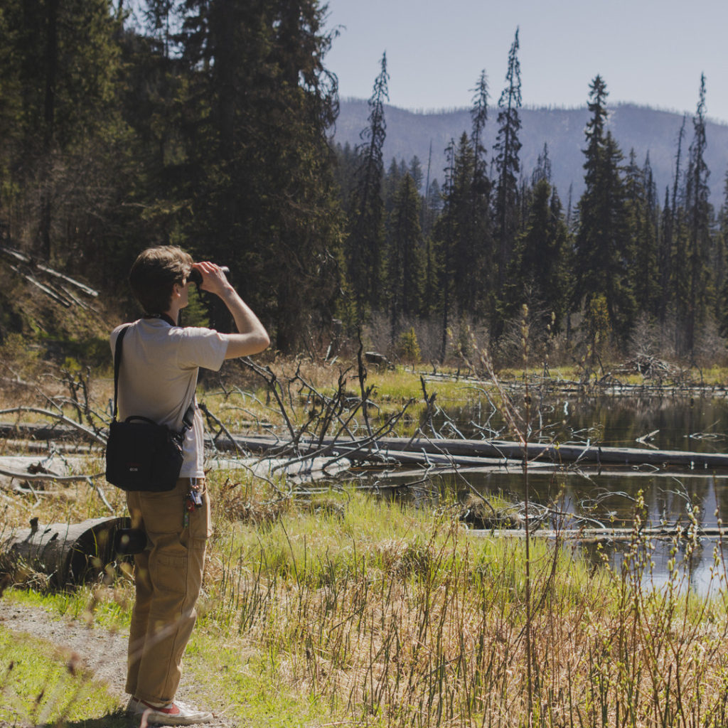 A person looks through binoculars in a swampy forest clearing.