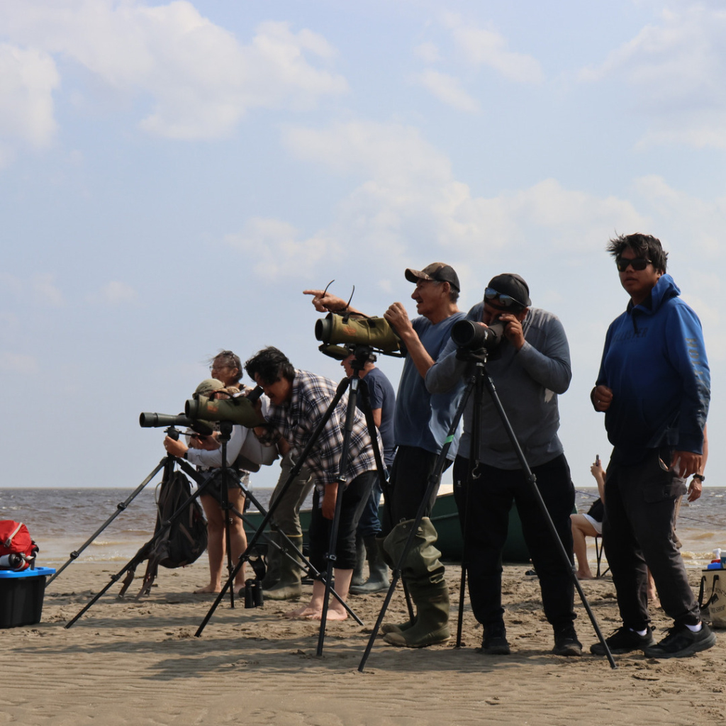 A group of people looking through binoculars and spotting scopes.