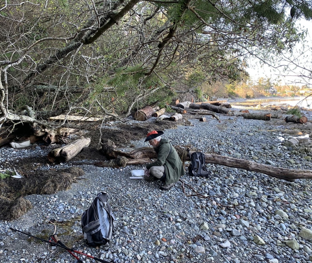 A volunteer for the beached bird survey crouches on the beach, collecting data