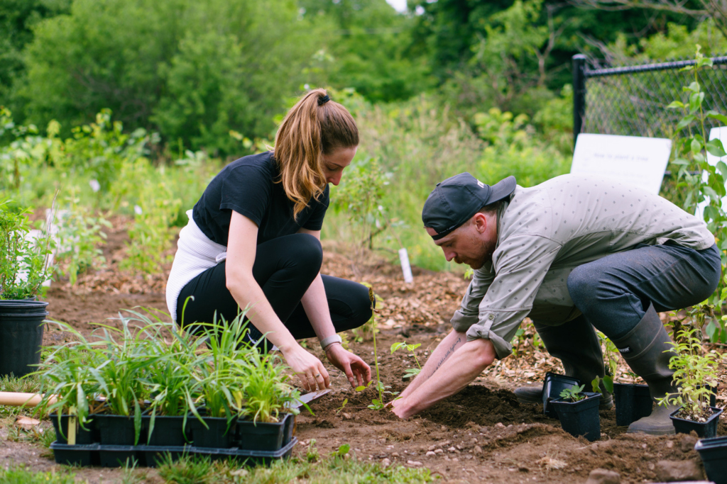 Two people dig in the soil as they plant a garden.