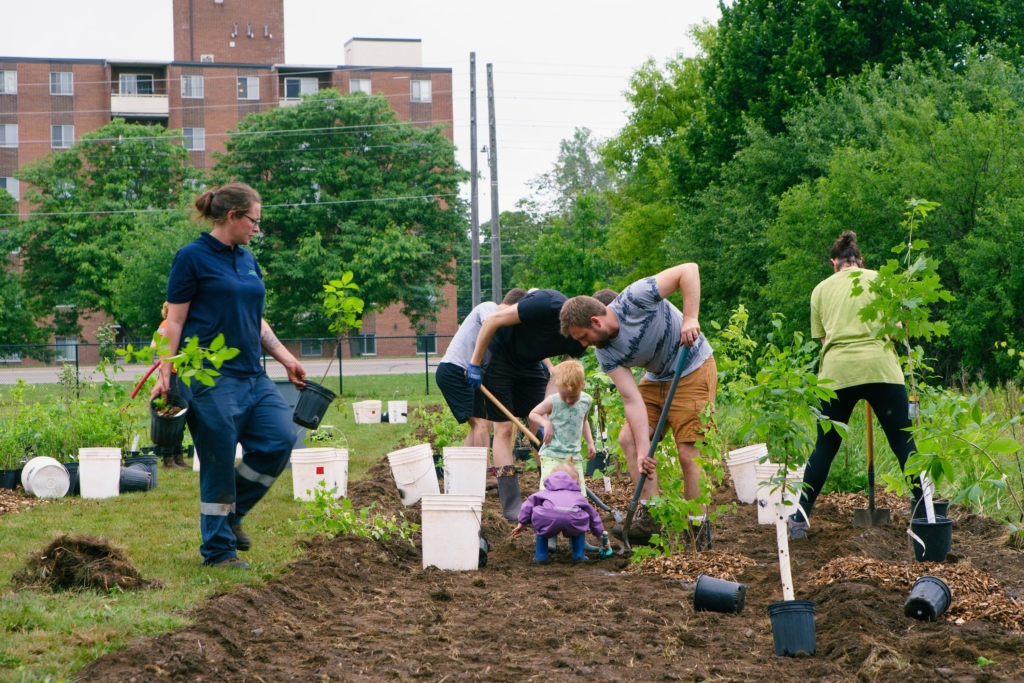 A group of people, of all ages, plan a community garden