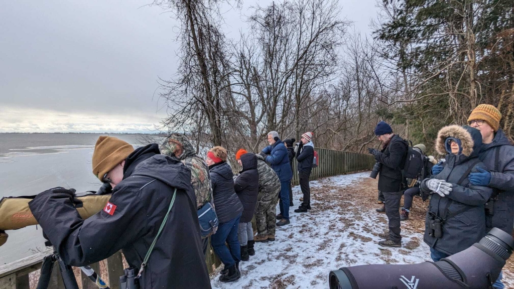 Un groupe d’ornithologues amateurs participe au GDOF.