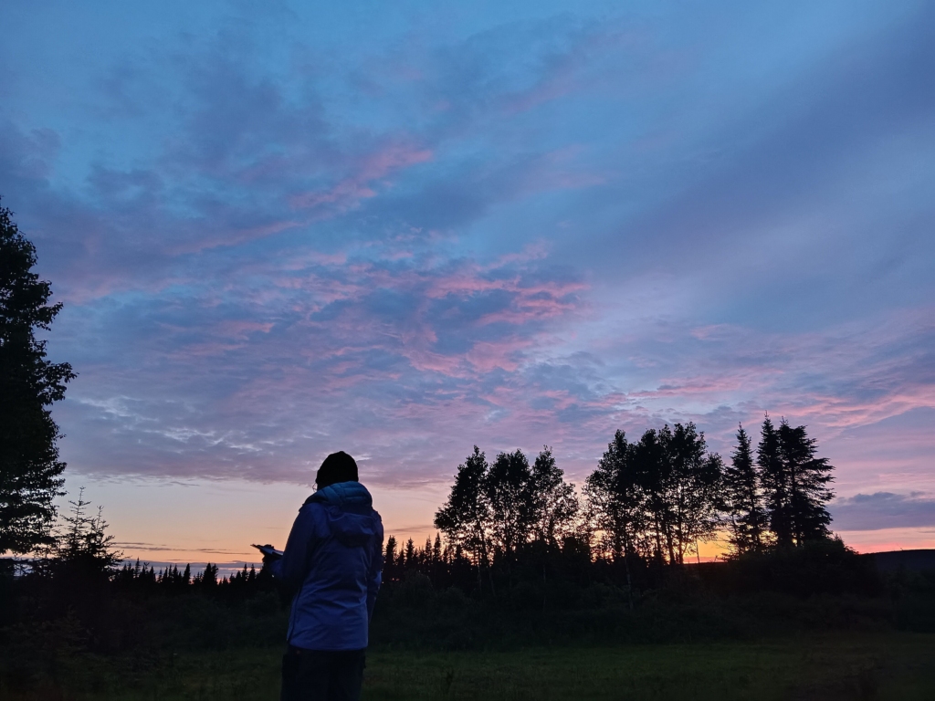 Volunteer doing an evening survey