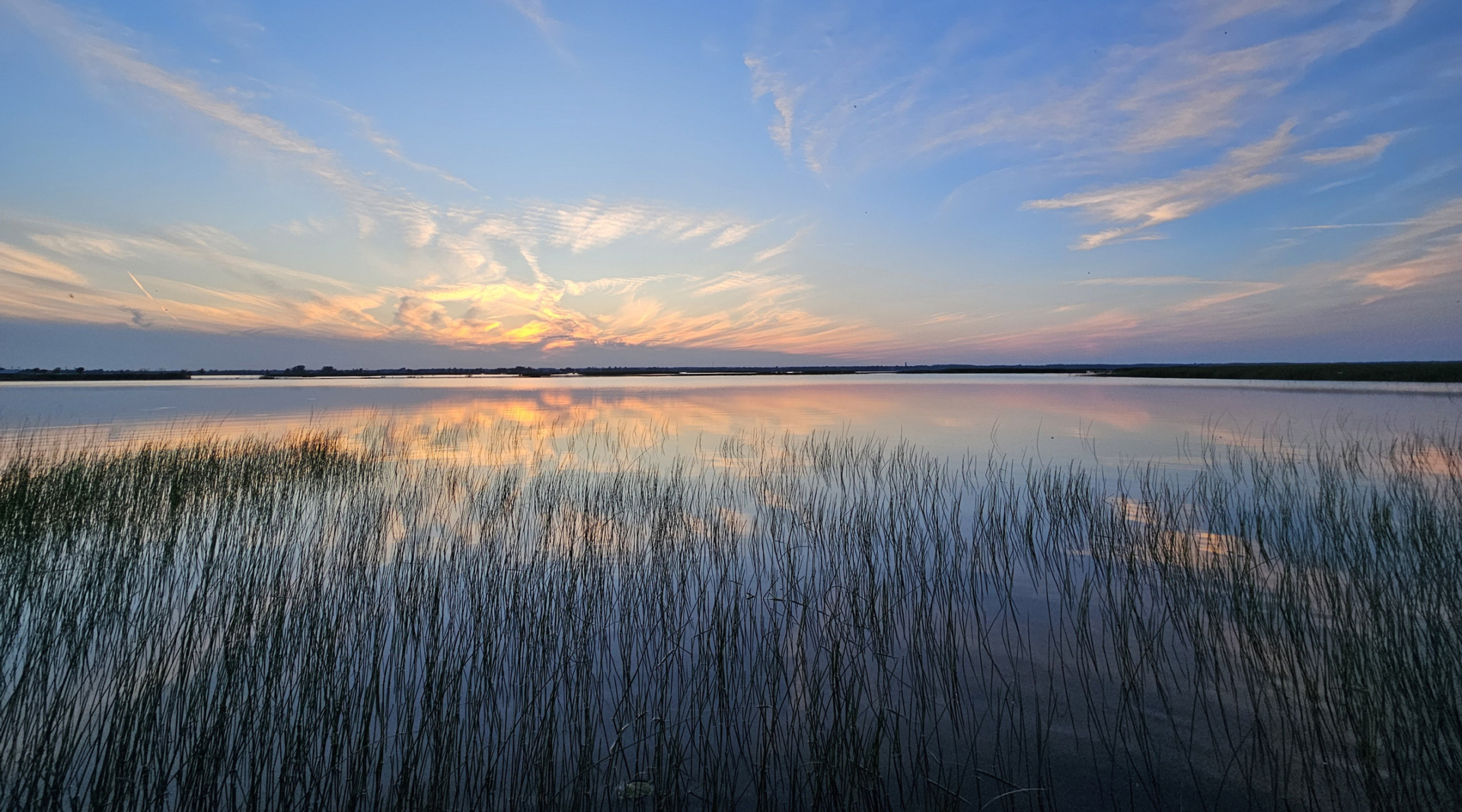 Sunset over a marsh with a body of water in the background
