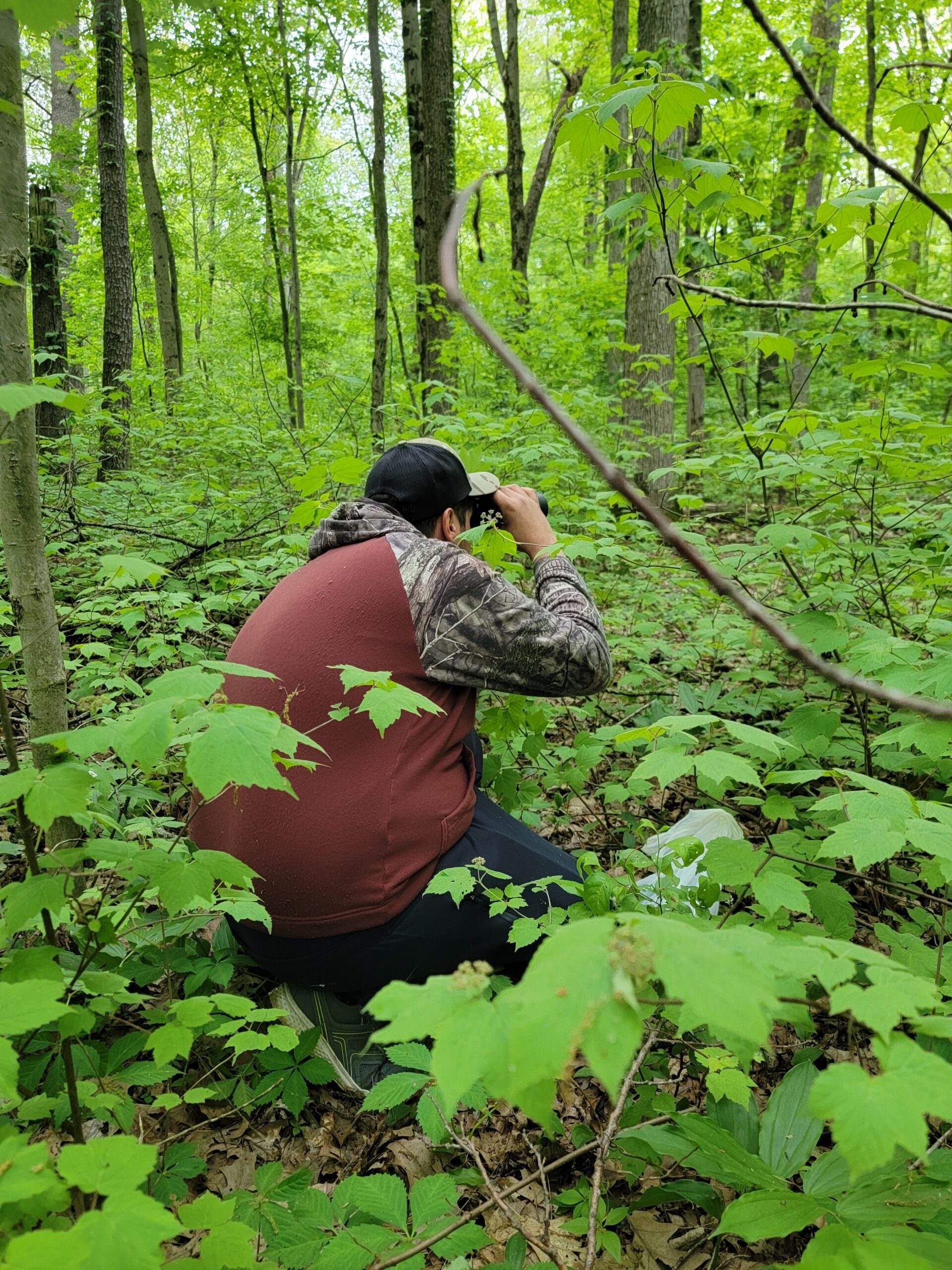 A Timiskaming Motus Workshop participant in the forest.