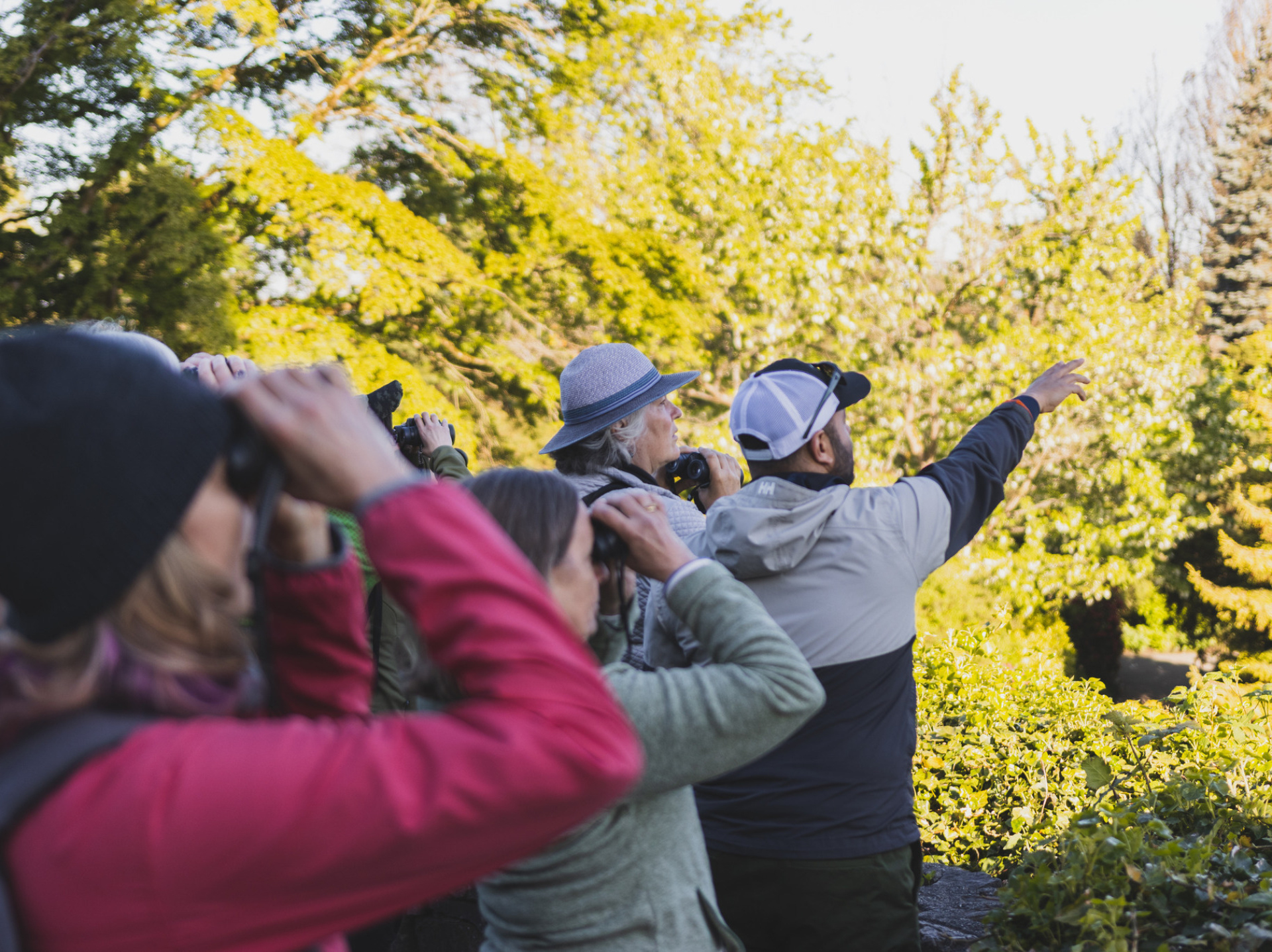 A group of people birding.
