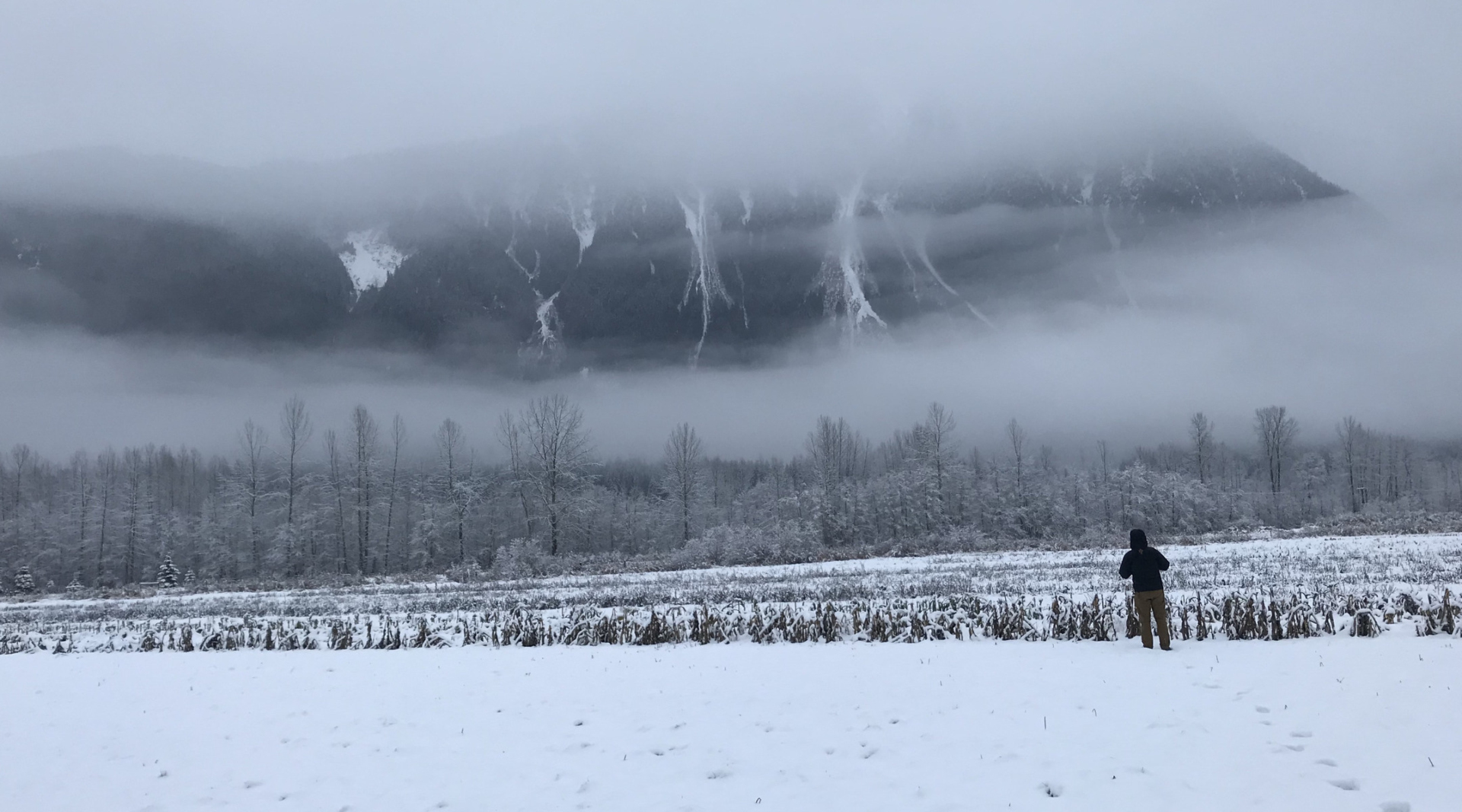 A person stands in a snowy field during the Christmas Bird Count.