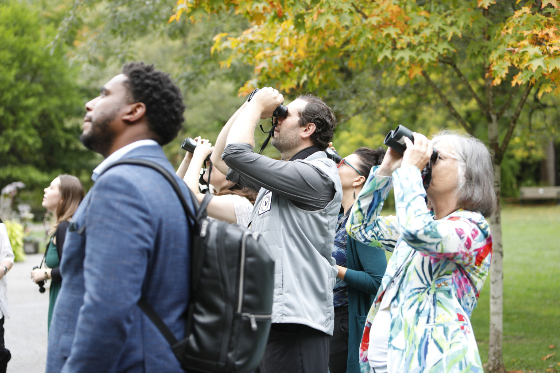 Group of people stand on a path in the Toronto Botanical Gardens with their binoculars pointed up looking out into the trees off the left side of the frame.