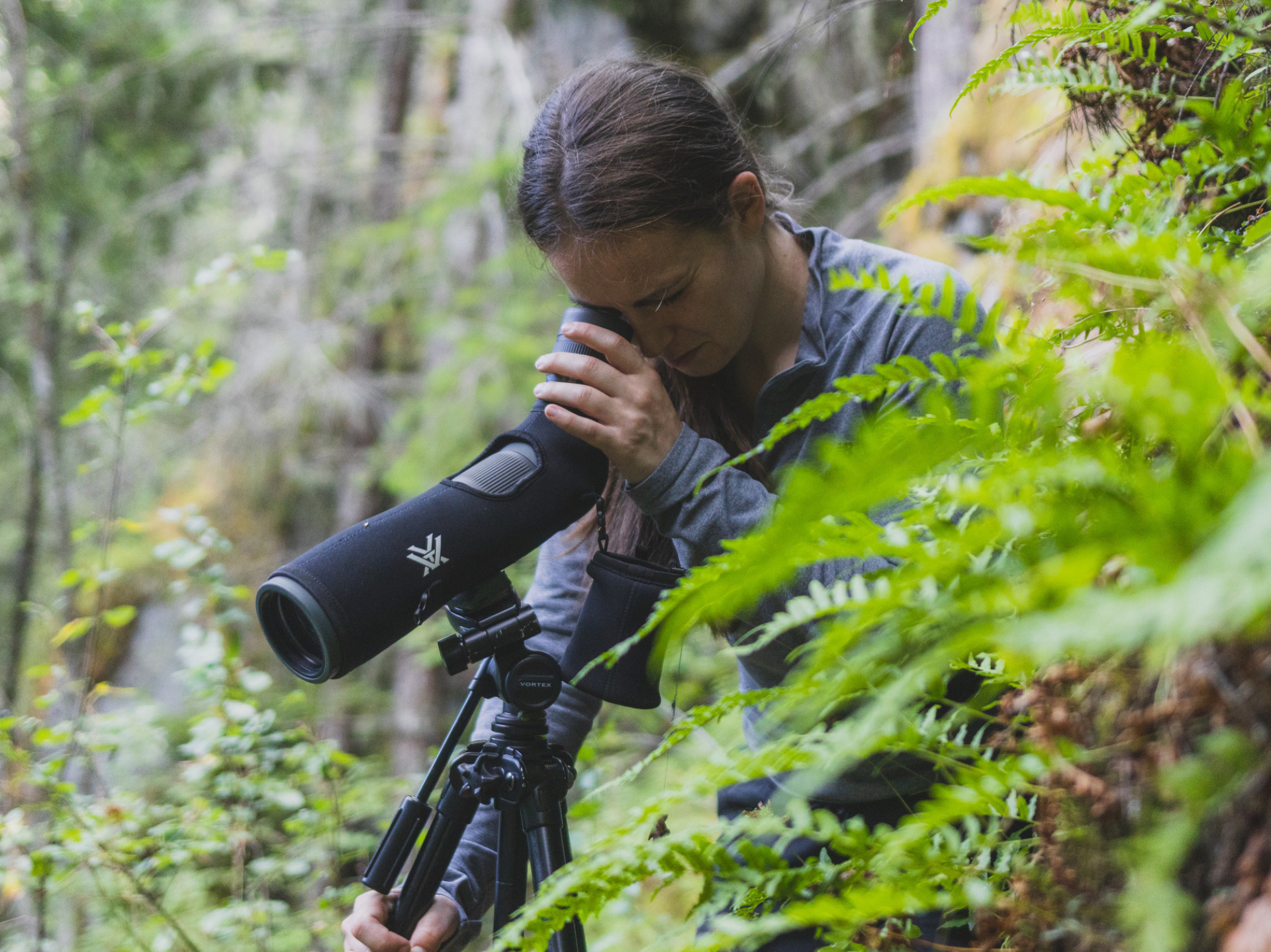 A staff member looks through a spotting scope in the forest.