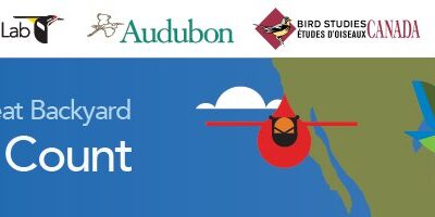 Join a Global Bird Count!
