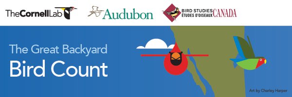 Join a Global Bird Count!