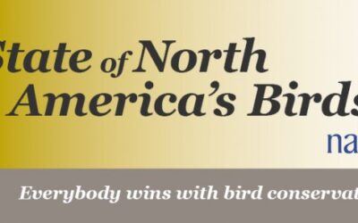 The State of North America’s Birds