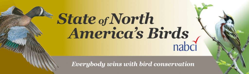 SONAB banner