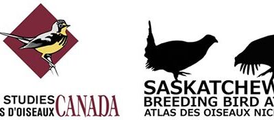 Saskatchewan Breeding Bird Atlas Takes Flight