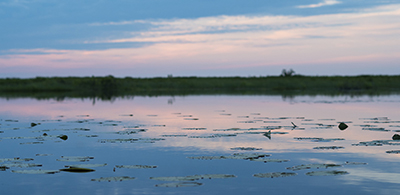 Spring into Marsh Monitoring
