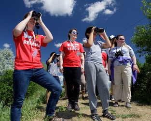Bioblitzes Bring Canadians Together to Study and Enjoy Nature