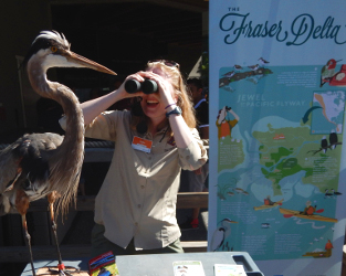 Talking About Birds, Amongst the Fish
