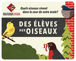 Les jeunes raffolent du programme Des élèves aux oiseaux!