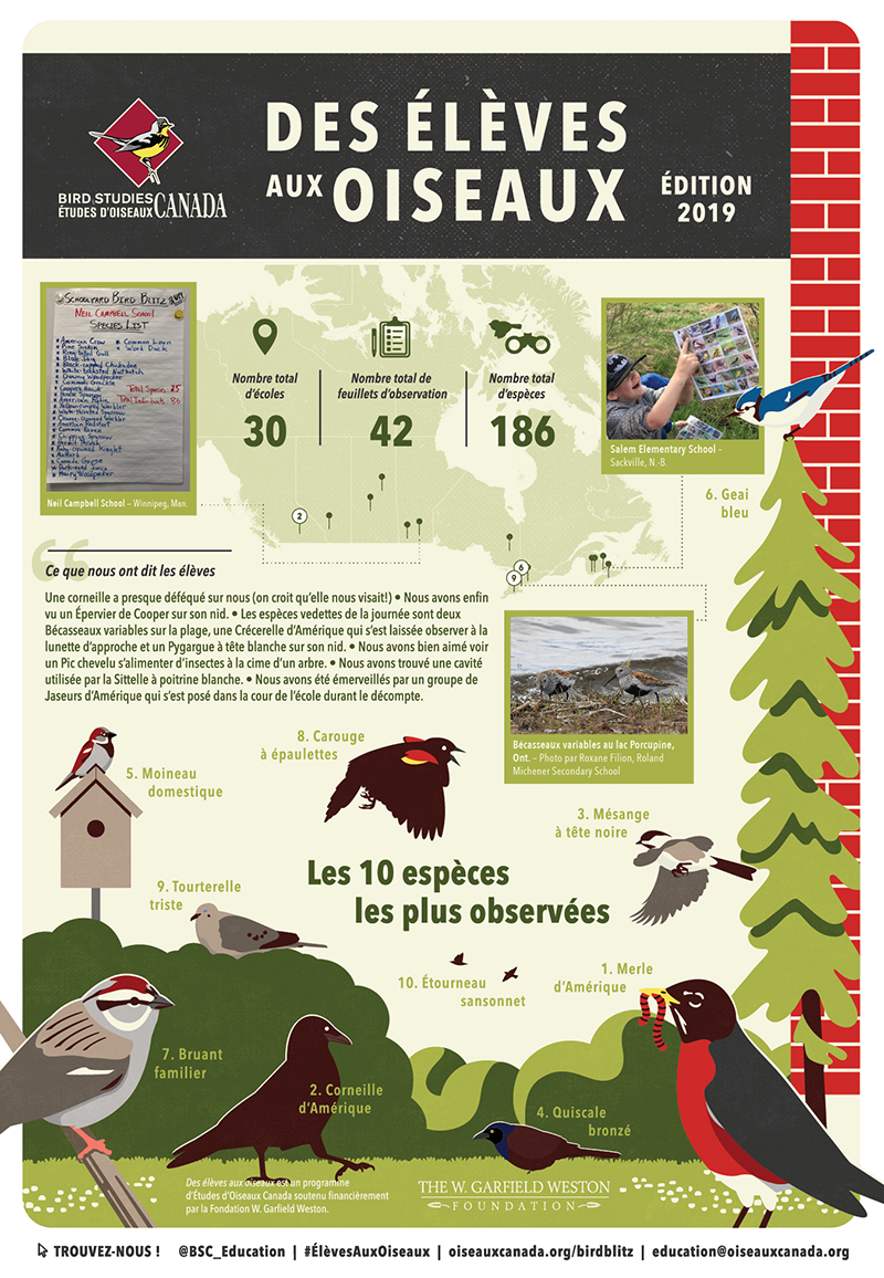 Des élèves comptent les oiseaux de leur quartier au nom de la science