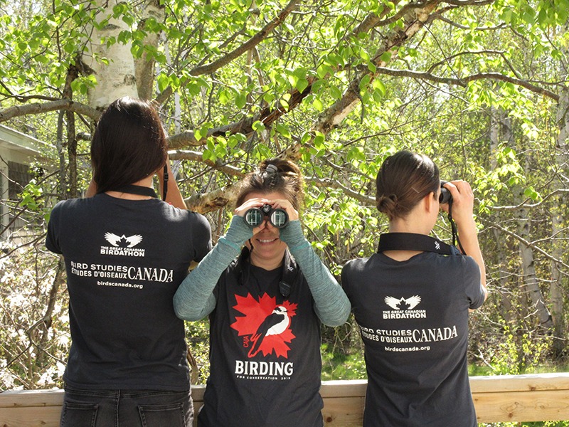 Sackville Birdathon team - Photo by Allison Manthorne Three young birdathoners sporting fashionable Birdathon T-shirts. The birdathoners on the left and the right are facing away from the camera, but the one in the centre is posing for the camera, looking straight towards us through binoculars.