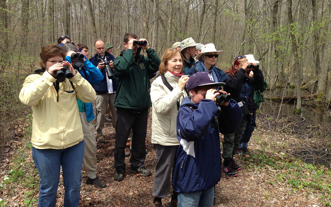 Ontario Forest Birds Program