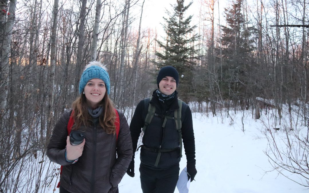 Christmas Bird Count