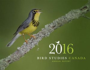 Annual Report
