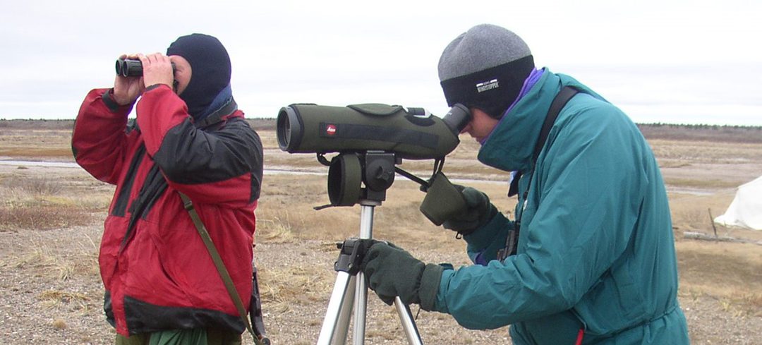 Coming up in 2021: Ontario’s third Breeding Bird Atlas!