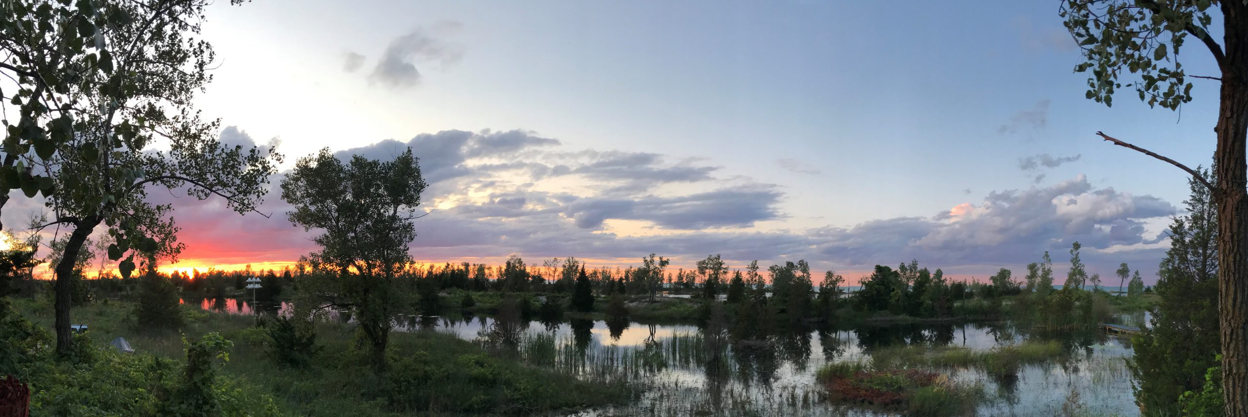 Sunrise by Stu Mackenzie Sun rising over a marsh. Beautiful blue and orange sky with reflections of trees in the water.