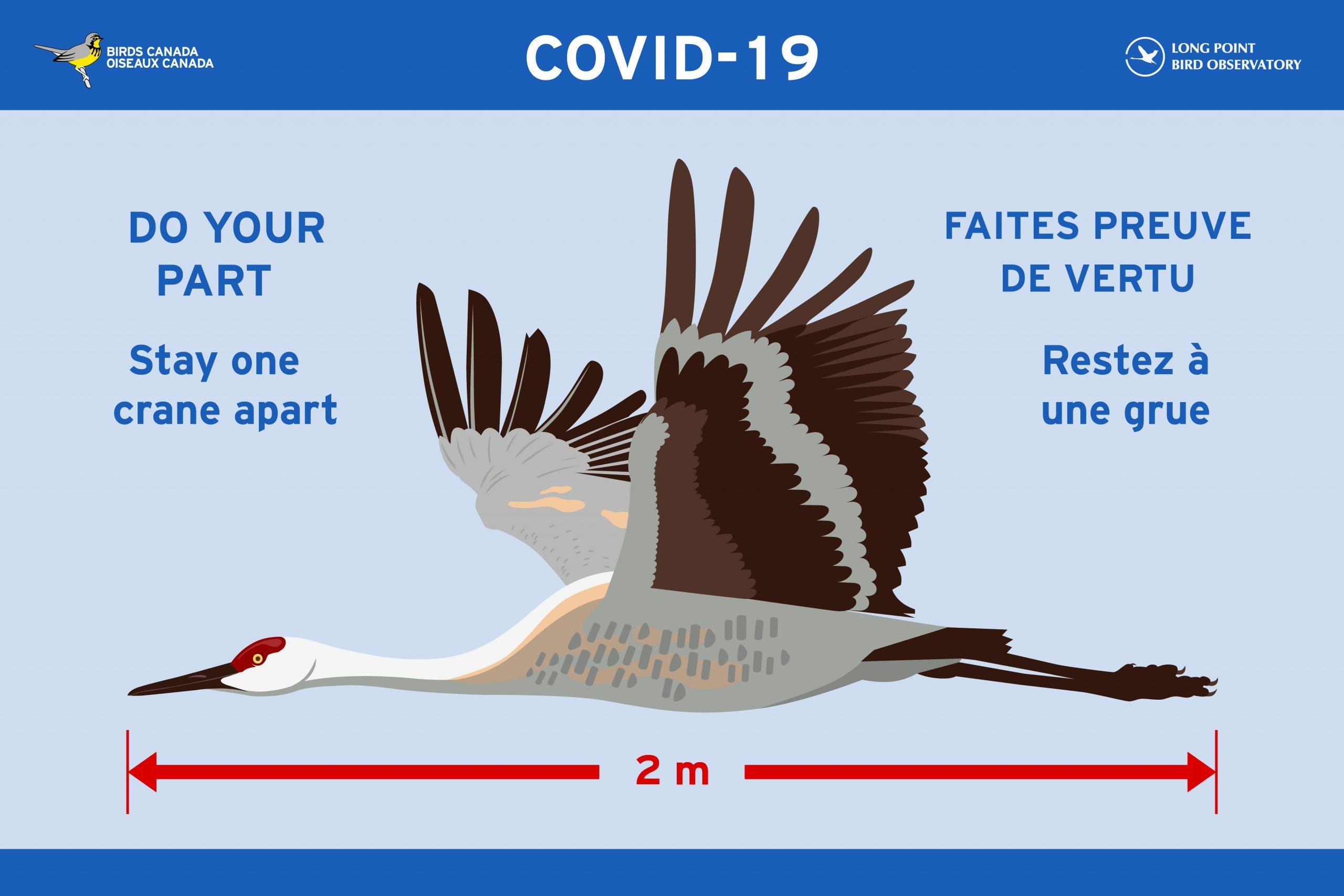 Covid-19 2 m Social Distancing Sign : Stay One Crane Apart 2020 A colourful Covid-19 Sign encouraging 2 metre Social Distancing. The signs features beautiful Sandhill Crane in flight with the caption "Do your part: Stay One Crane Apart"
