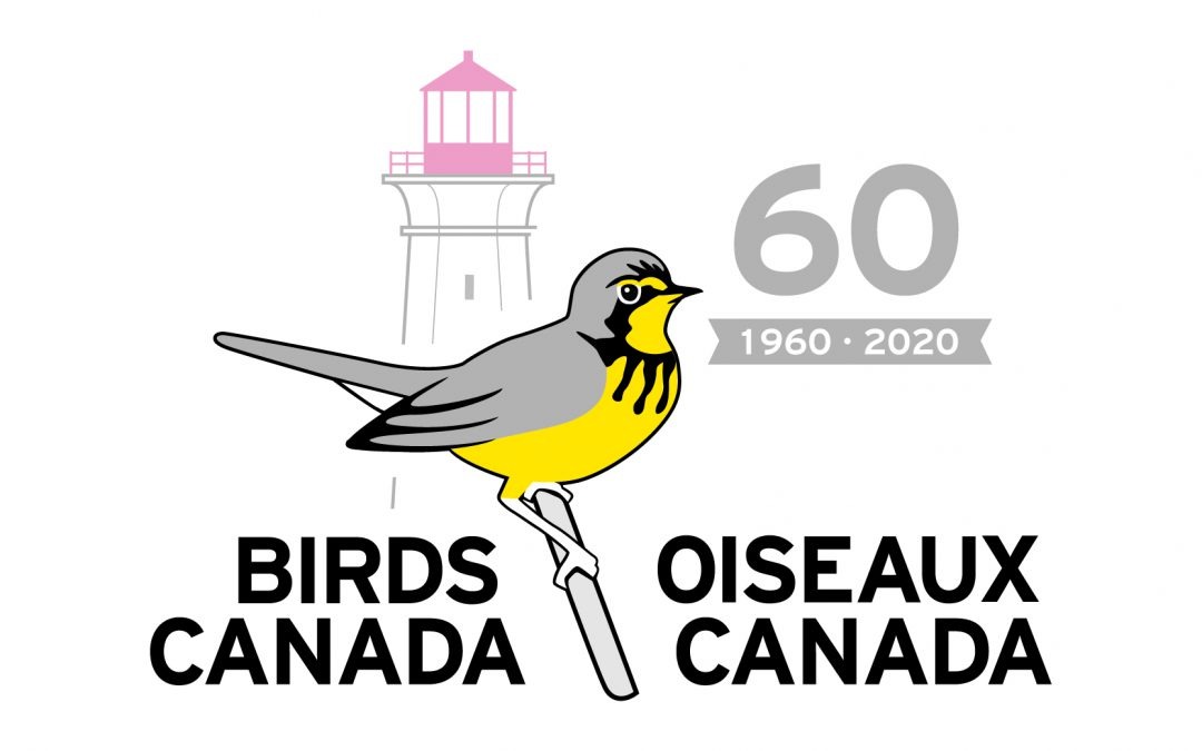 President – Birds Canada