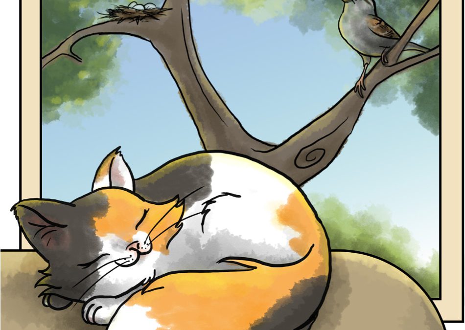 Partnership in action: Helping cats and birds live safer in BC
