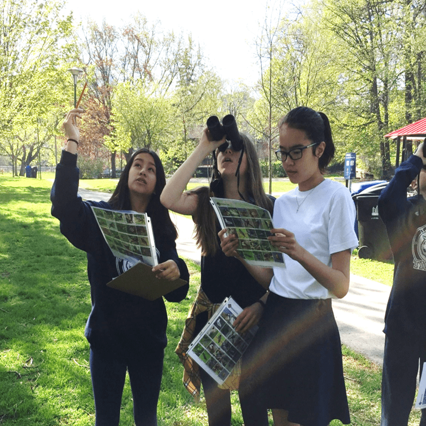 Link to Citizen Science at School page.