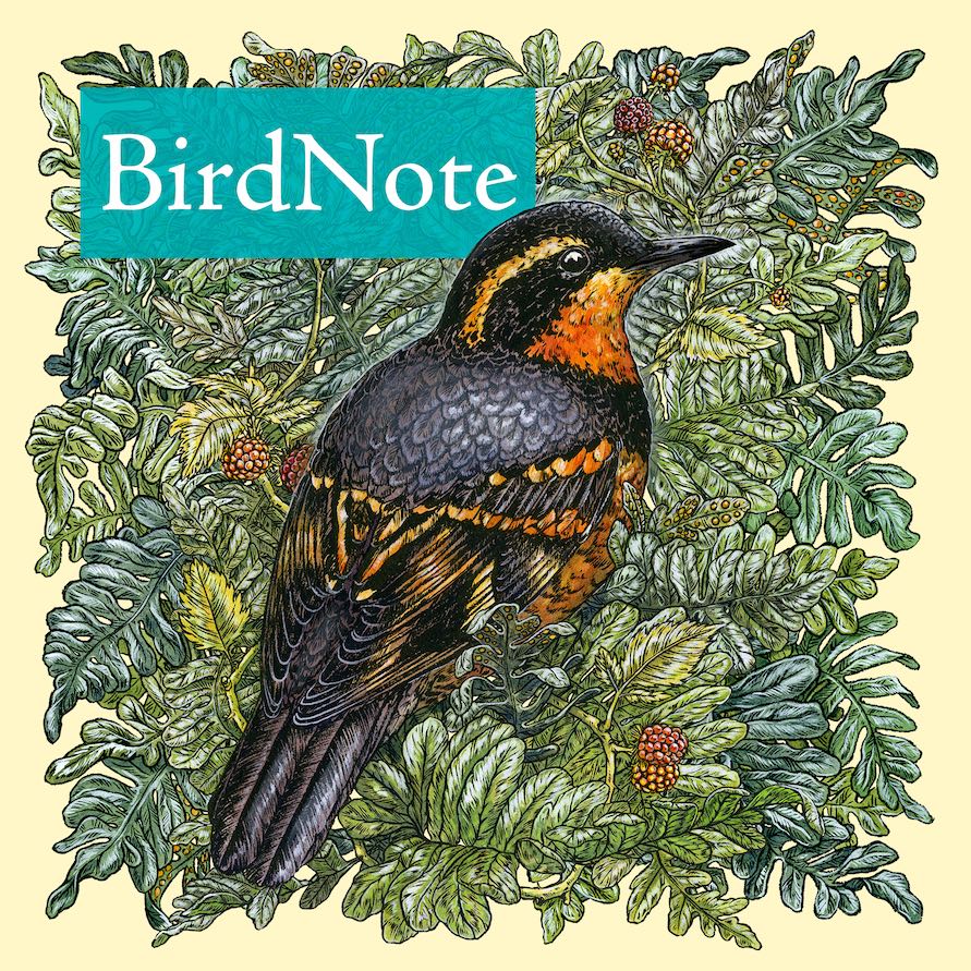 Link to ABA American Birding Podcast. 