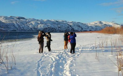 Celebrate birds this winter by participating in the Annual Christmas Bird Count