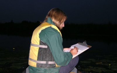 Volunteer Opportunity: Great Lakes Marsh Monitoring Program