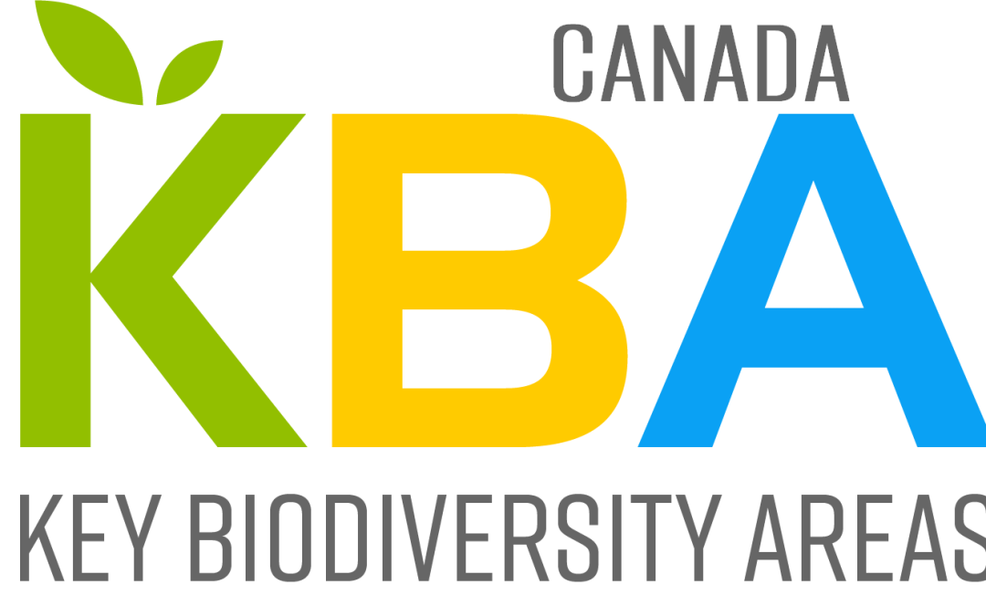 KBAs and IBAs: Canada’s critical places for nature