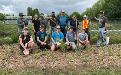Community Lends a Helping… Green Thumb? In Effort To Promote Biodiversity