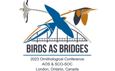 Conference: Birds as Bridges