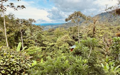 Connecting with partners in Latin America to protect Canada’s migratory birds