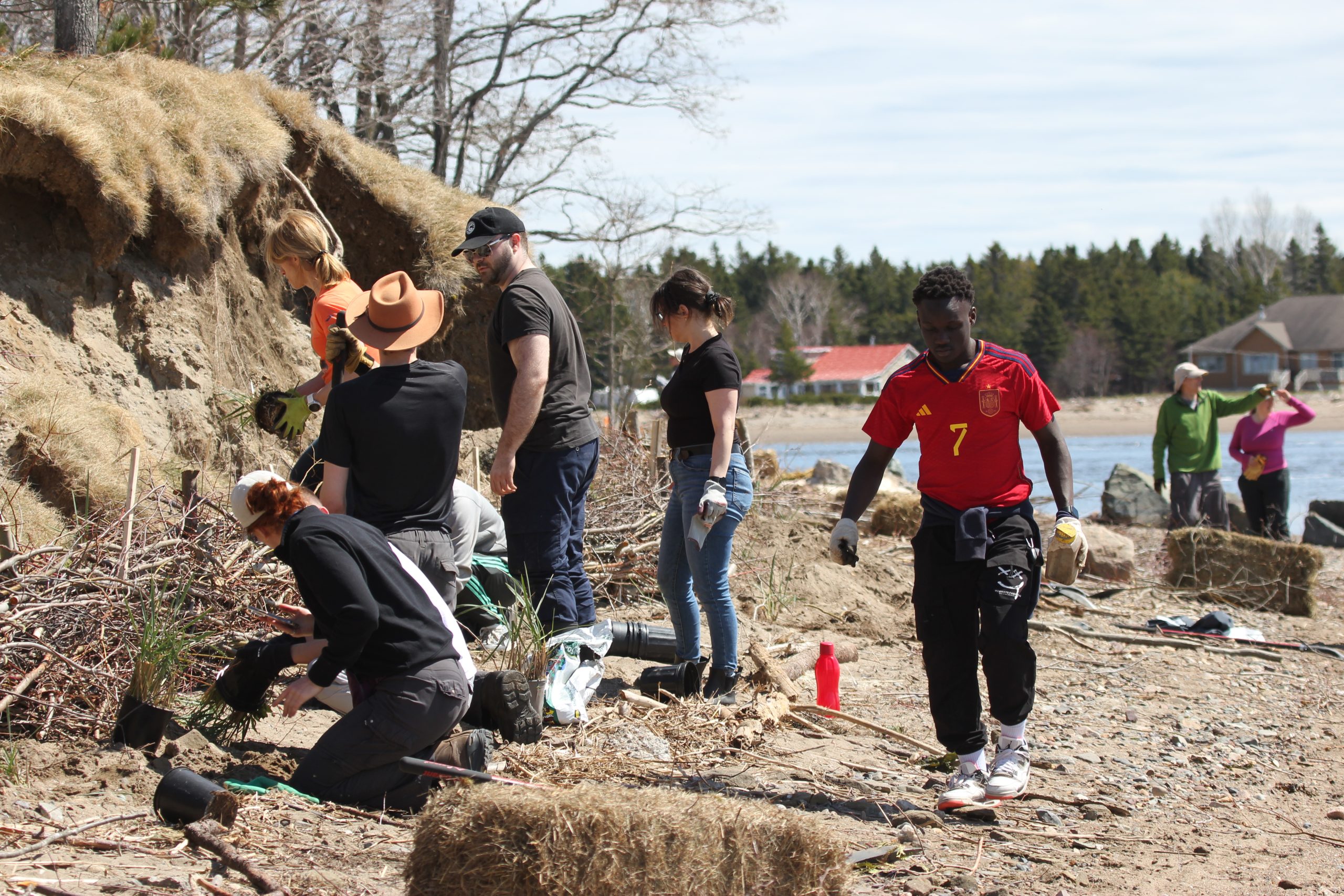Volunteers participating the the Youghall Beach Restoration Project. 