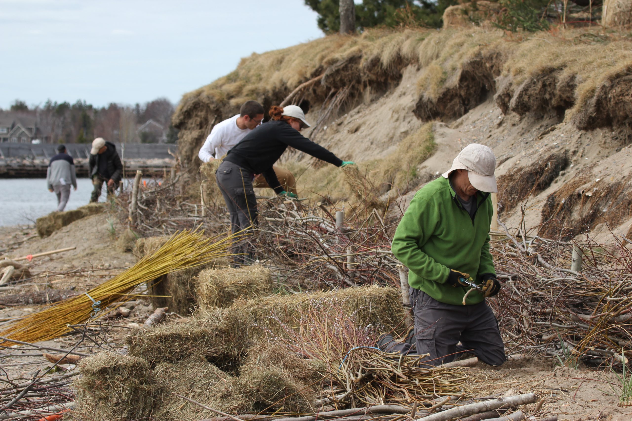 Work at the Youghall Beach restoration project site.